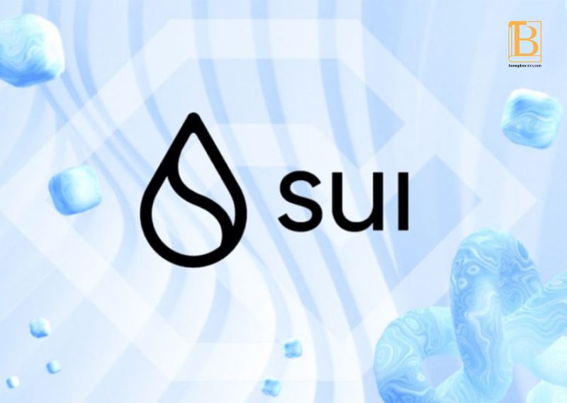 sui. Huongdancrypto.com