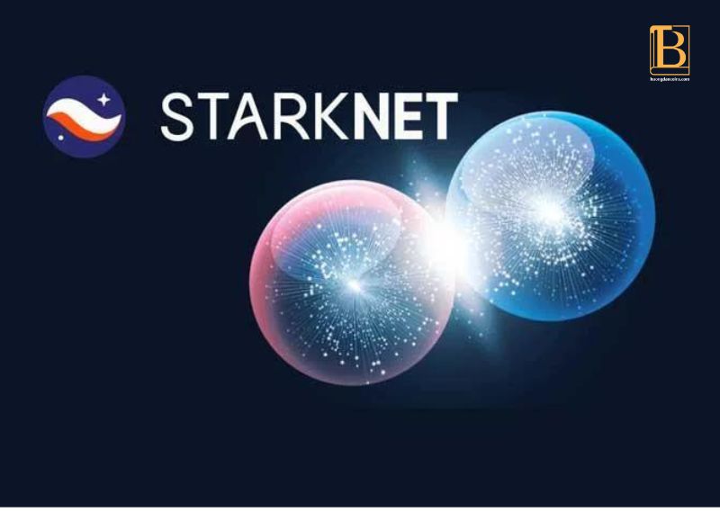 Starknet là gì. Huongdancrypto.com