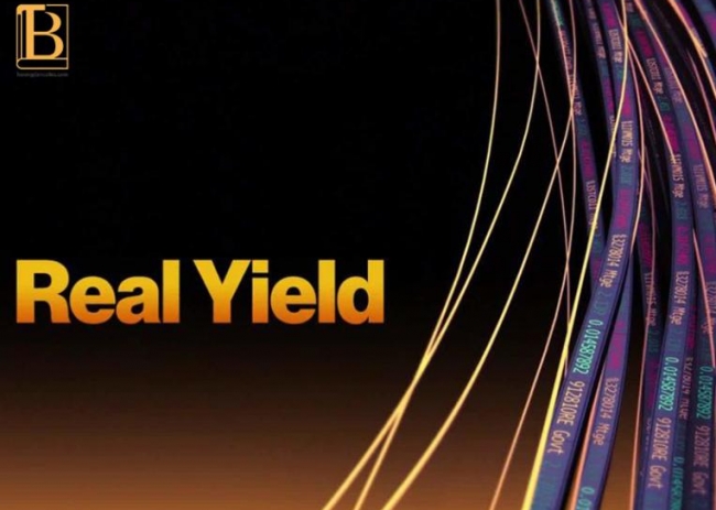 Real Yiel là gì? Cách kiếm lợi nhuận từ Real Yield