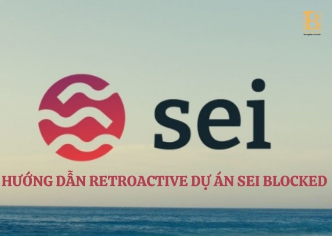 Hướng dẫn retroactive dự án Sei (Phần 2)