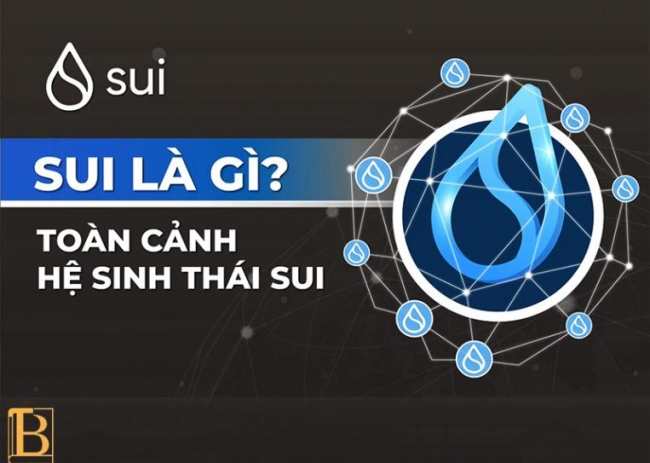 Hệ sinh thái SUI là gì? Tổng quan về hệ sinh thái SUI từ A-Z